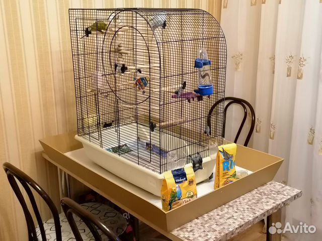 Клетка с волнистыми попугаями купить на Зозу.ру - фотография № 7