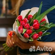 Тюльпаны из теплицы Тюльпаны из теплицы