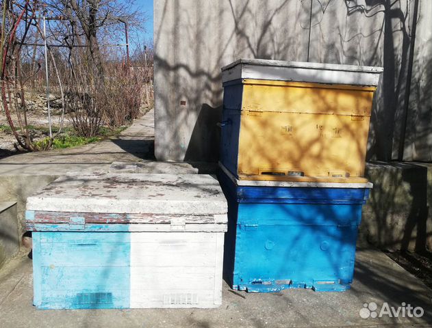 Продам Пчелиные Улья купить на Зозу.ру - фотография № 1