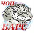 Охранник без удостоверения Охранник без удостоверения
