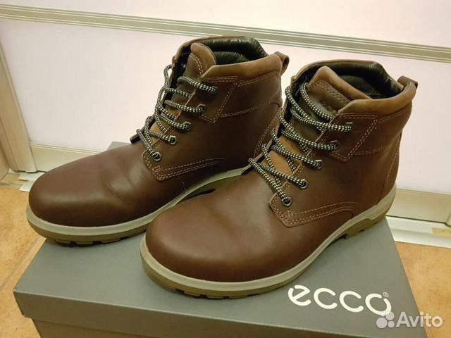ecco whistler