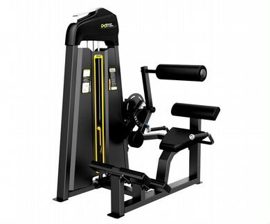 Разгибание спины (Стек 109 кг)