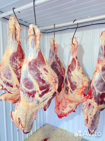 Мясо Телятина, домашнее, забой 5 октября