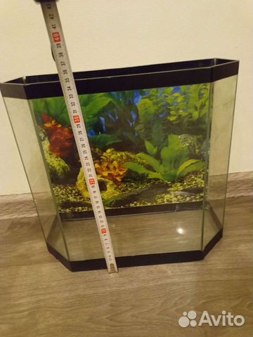 Аквариум с фоном