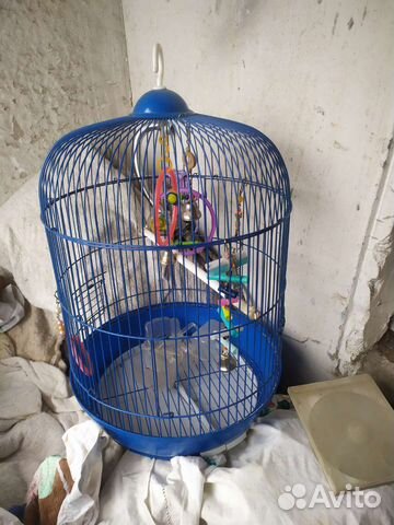 Клетка для волнистого попугая бу