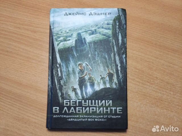Книга Бегущий в лаберинте