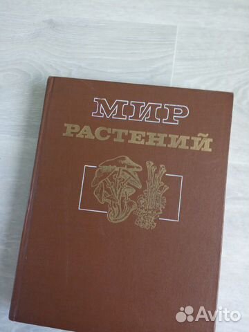 Энциклопедия Мир Растений отдел Грибы