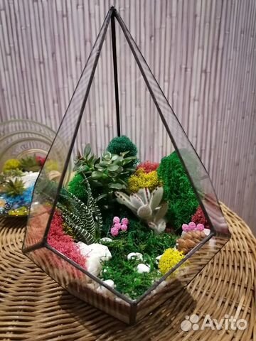 Флорариум капля, подарок с wow эффектом
