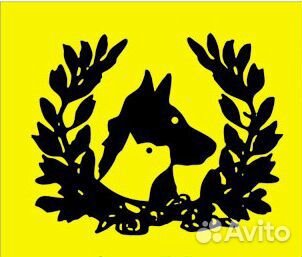 Усыпить собаку(кошку) на дому. Кремация животных