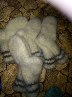 Собачьи носки