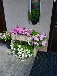 Цветочная кадка, кашпо