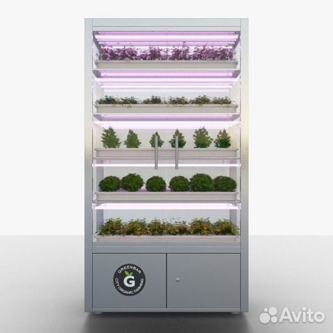 Шкаф для выращивния зелени исалатовбез земли