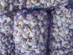 Чеснок оптом, цена 170 ₽ купить в Краснодарском крае
