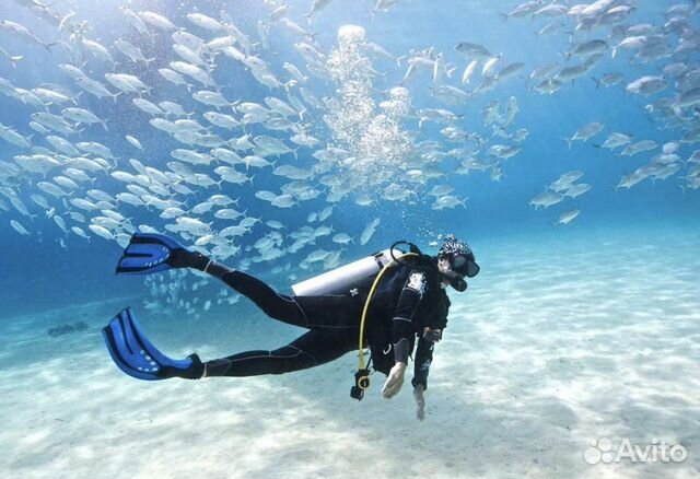 Обучение дайвингу (Международный сертификат)