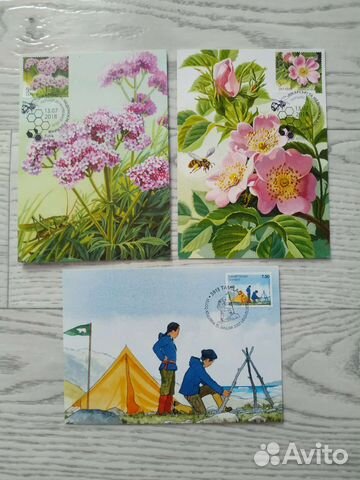 Картмаксимум на открытках