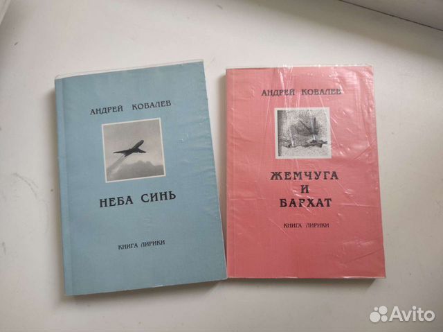 Стихи. Андрей Ковалёв. Рок-группа Пилигрим