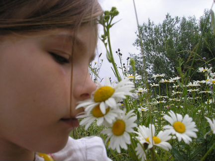 Няня Пермь, Закамск, Краснокамск