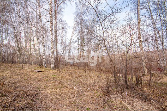 Участок 20,5 сот. (СНТ, ДНП)