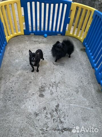 Миники готового размера