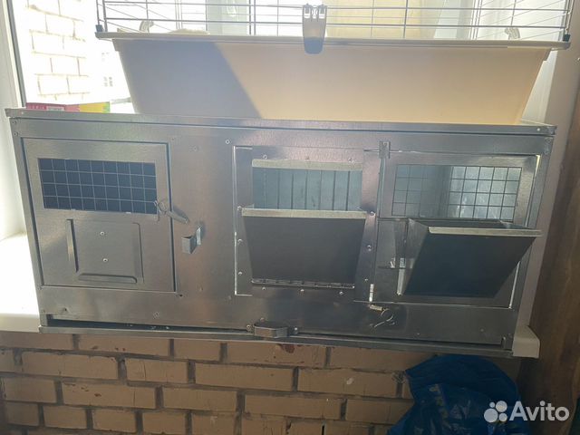 Маточник для кроликов