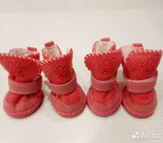 Обувь для мелкой собачки