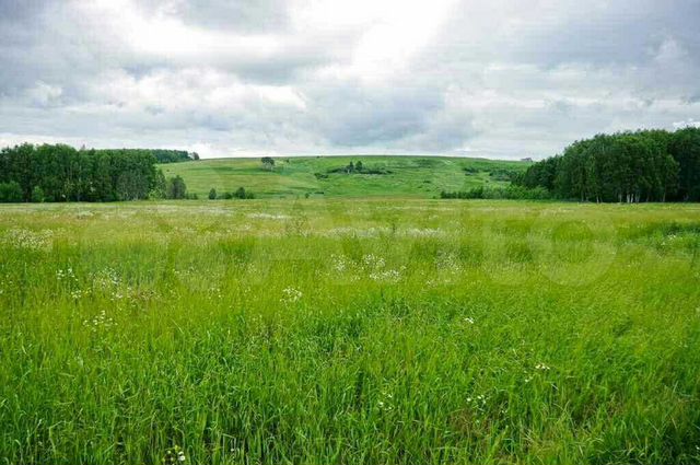 Участок 20 сот. (СНТ, ДНП)