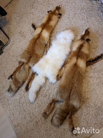 Шкуры лисы и песца (чулок)