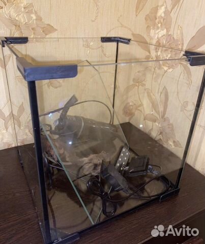 Аквариум / Креветки вишни / гуппи / мелании