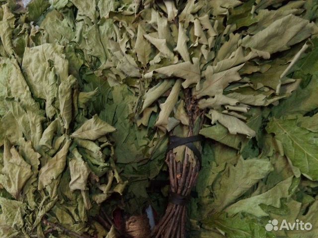 Веник дубовый