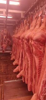 Мясо Свинина / говядина / баранина