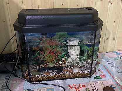 Продаю аквариум 20 литров
