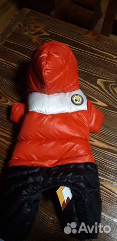 Зимний комбез на французского бульдога