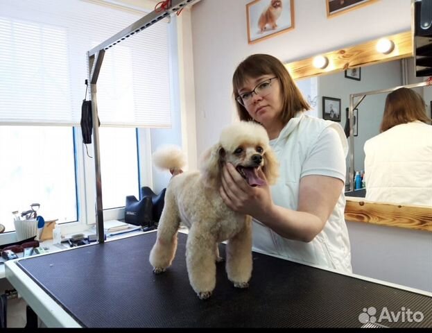 Стрижка собак (Груминг)