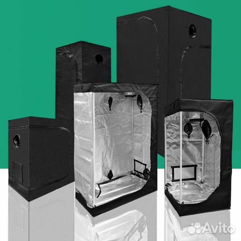 Гроутенты для растений Brazzik