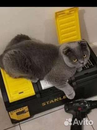 Ремонт стиральных машин на дому (без посредников)