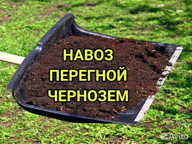 Перегной, Чернозем