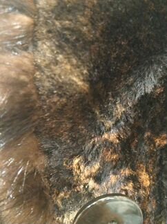 Шуба фирмы Bison