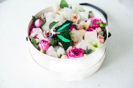 Цветы с живой бабочкой