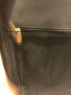 Чемодан на колесах большой