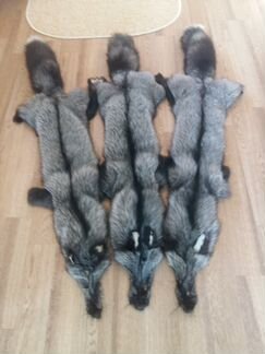 Мех сибирской чернобурой лисы