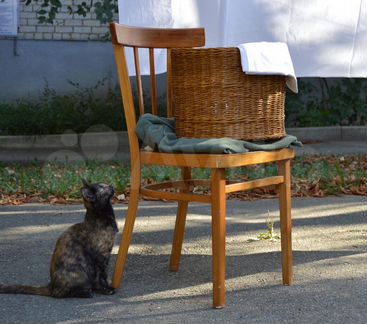 Плетеные корзинки