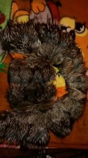 Воротник чернобурки