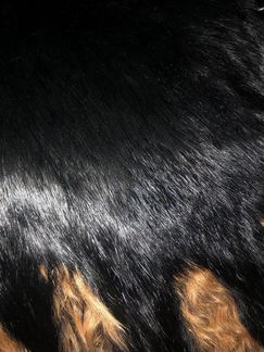 Шуба из натурального меха козлик+ енот