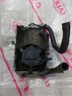 Радиатор в сборе Suzuki Burgman/Skywave 650