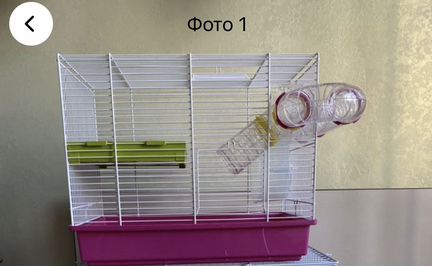 Клетка