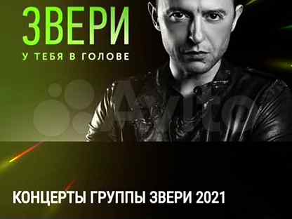 Билет на концерт звери москва 20 августа. Билет на концерт звери.