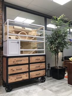 Витрина для шиншилл, дегу