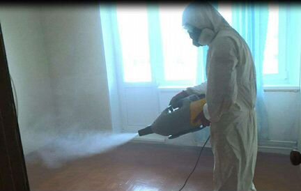 Уничтожение тараканов, клопов, блох, насекомых