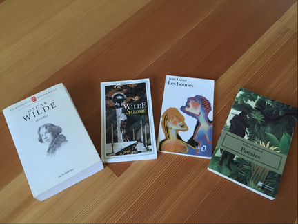 Книги на французском языке