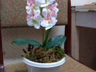 Орхидея искусственная объявление продам